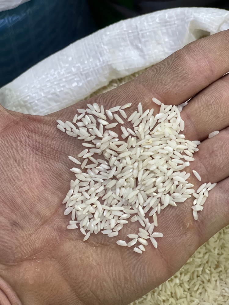 برنج علیکاظمی