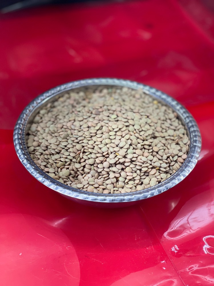 عدس پلویی (درشت)