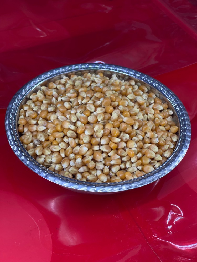 گل ذرت (ذرت پفیلا)