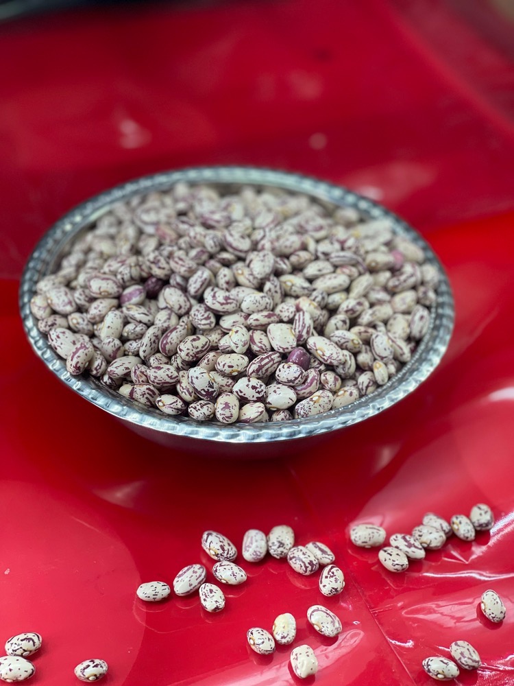 لوبیا چیتی درشت طارم (لوکس)