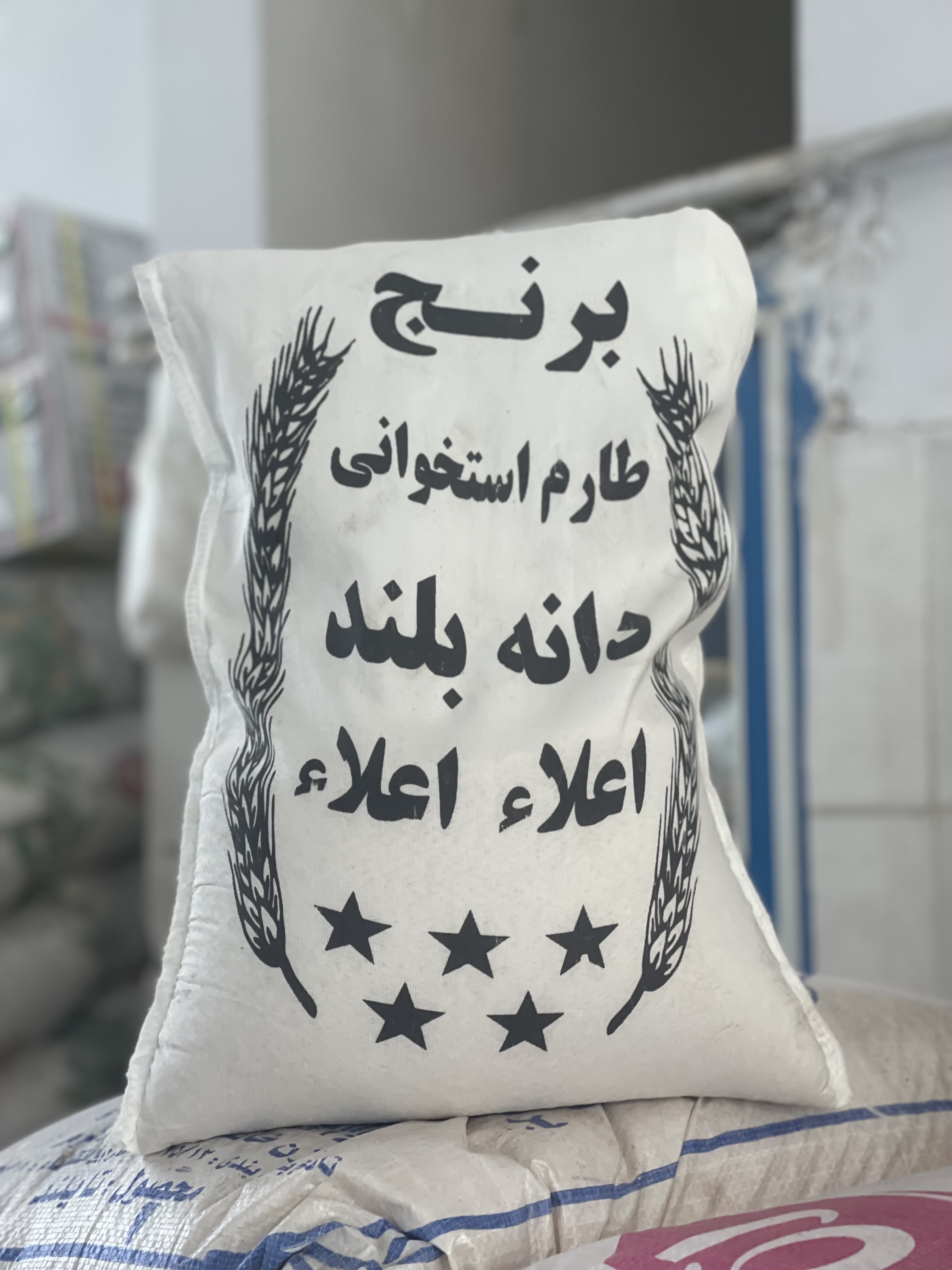 برنج شیرودی مجلسی